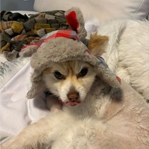 Dog Hat With Ear Flaps Small/Medium Faux Fur Lined